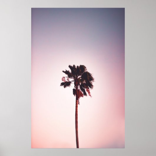 POSTER ARBRE VERT EN FEUX SOUS LE CIEL BLEU (Devant)