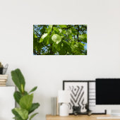 Poster Arbre vert Feuille à bouleau printanier (Bureau à domicile)