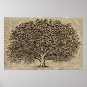 Poster Arbre vintage