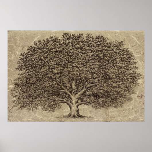 Poster Arbre vintage (Devant)