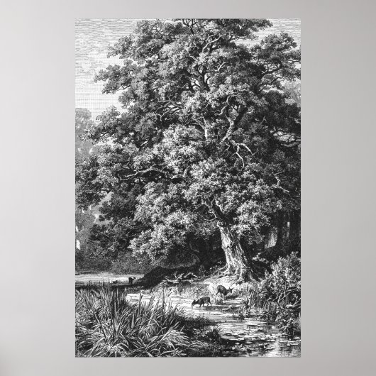 Poster Arbre Vintage noir chêne blanc (Devant)