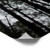 Poster Arbres (Coin)