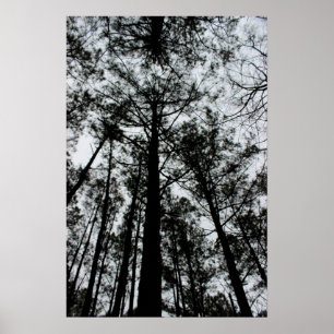 Poster Arbres