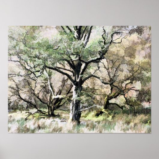 POSTER ARBRES (Devant)