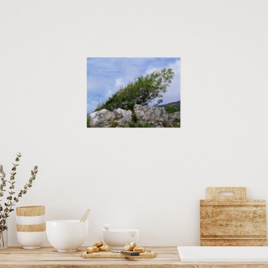 POSTER ARBRES (Cuisine)