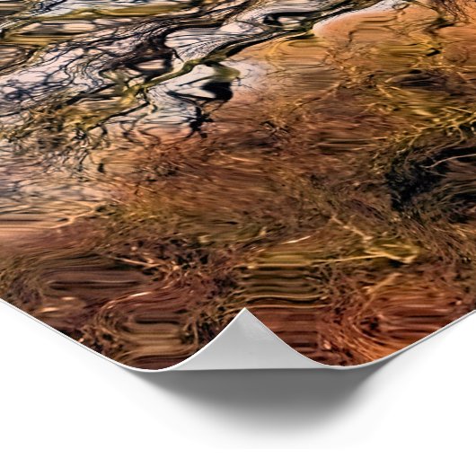 POSTER ARBRES (Coin)