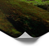 Poster arbres (Coin)