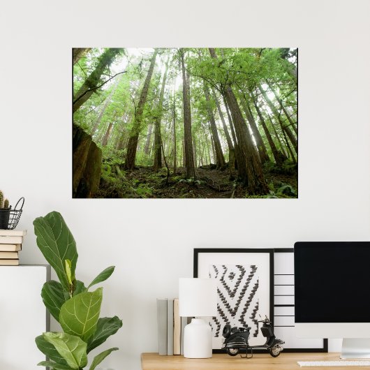 Poster arbres (Bureau à domicile)