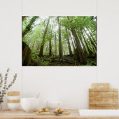 Poster arbres (Cuisine)