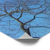 Poster Arbres (Coin)