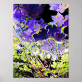 POSTER ARBRES (Devant)