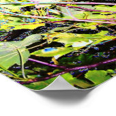 POSTER ARBRES (Coin)