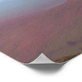 POSTER ARBRES (Coin)