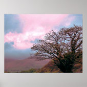 POSTER ARBRES (Devant)