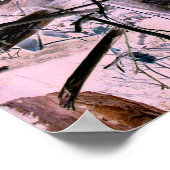 POSTER ARBRES (Coin)