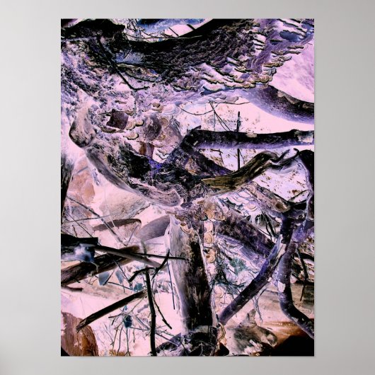 POSTER ARBRES (Devant)