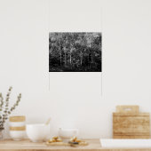 Poster Arbres à bouleau d'argent - B&W (Cuisine)