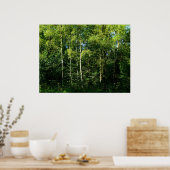 Poster Arbres à bouleaux argentés (Cuisine)