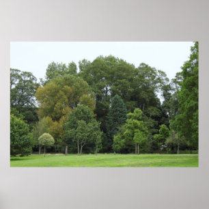 Poster Arbres à Bute Park, Cardiff