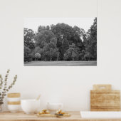 Poster Arbres à Bute Park, Cardiff - BW (Cuisine)