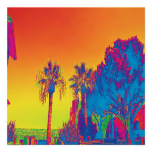 Poster Arbres à Chypre