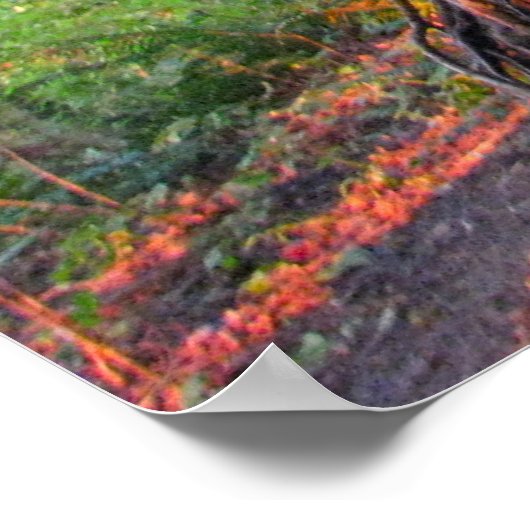 Poster Arbres à feu (Coin)