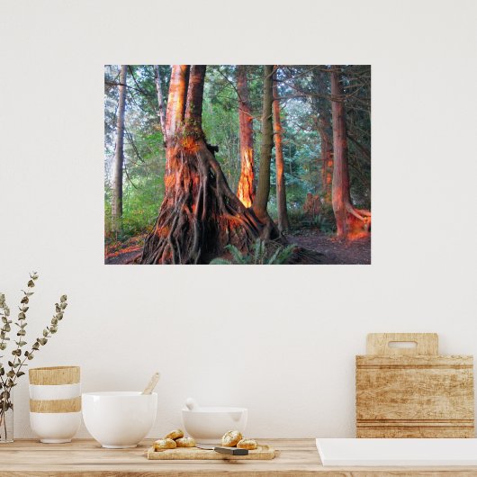 Poster Arbres à feu (Cuisine)