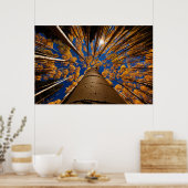 Poster Arbres à Flagstaff, Arizona (San Francisco Peaks) (Cuisine)