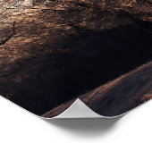 Poster Arbres à glace rétroéclairés (Coin)