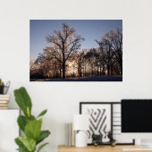 Poster Arbres à glace rétroéclairés (Bureau à domicile)