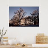 Poster Arbres à glace rétroéclairés (Cuisine)