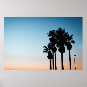 Poster Arbres à l'heure d'or