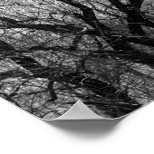 Poster Arbres à saules pleurs Silhouette noire et blanche (Coin)