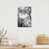 Poster Arbres à saules pleurs Silhouette noire et blanche (Cuisine)