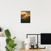Poster Arbres à séquoias dans le brouillard côtier, Comté (Bureau à domicile)