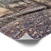 Poster Arbres abattus (Coin)