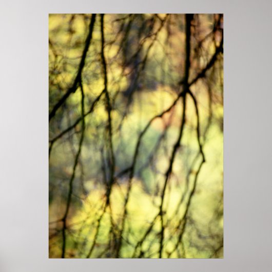 Poster Arbres Abstraits (Devant)