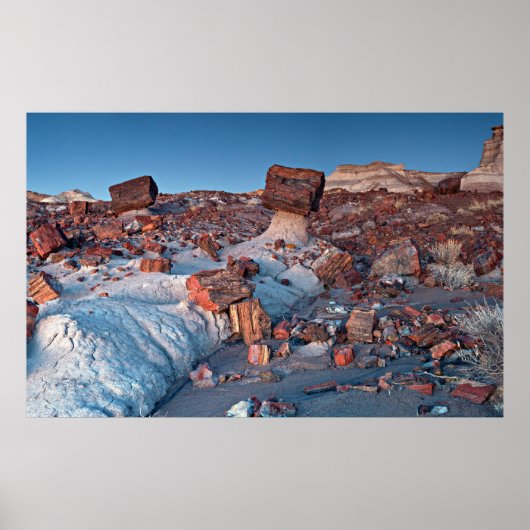 Poster Arbres anciens de la forêt pétrifiée (Devant)