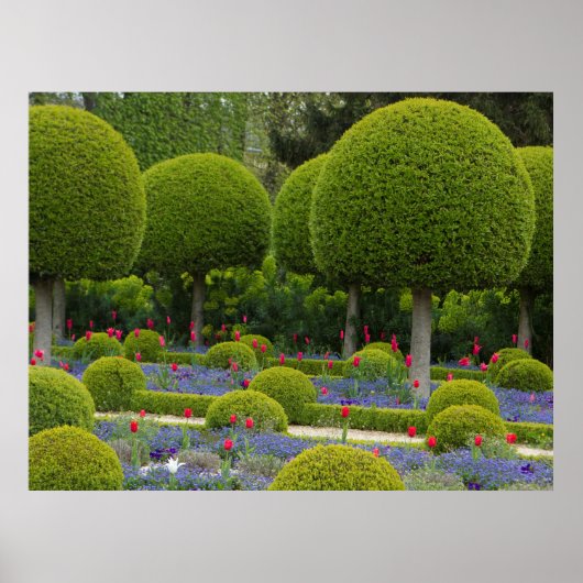 Poster Arbres Arrondis (Devant)