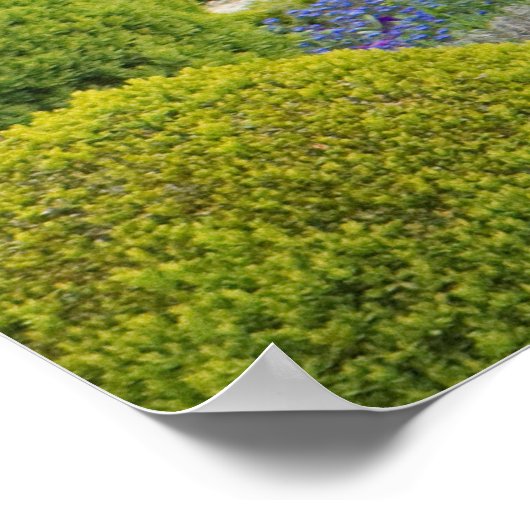 Poster Arbres Arrondis (Coin)