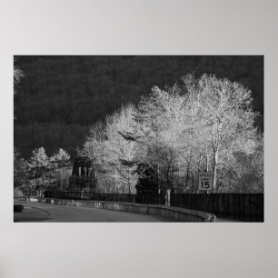 Poster Arbres au parc d'état de Lehigh Gorge