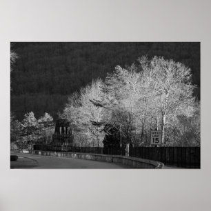 Poster Arbres au parc d'État de Lehigh Gorge