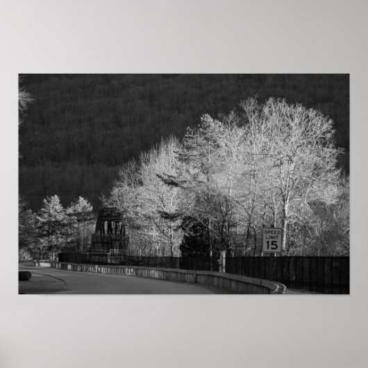 Poster Arbres au parc d'État de Lehigh Gorge (Devant)