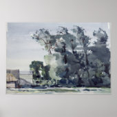 Poster Arbres - Aube (Devant)