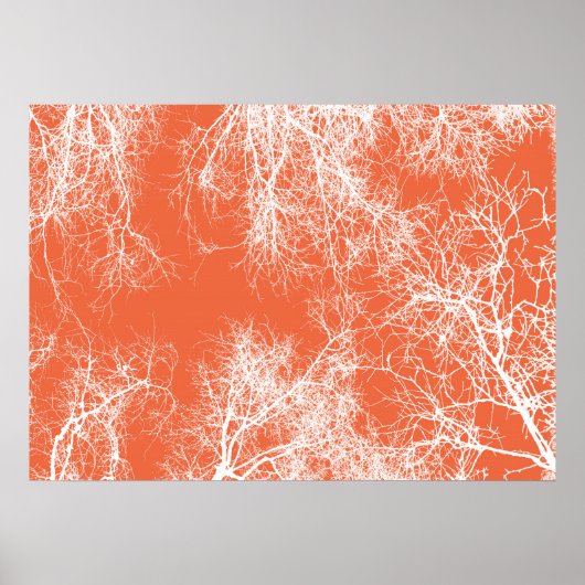Poster Arbres aux silhouettes orange et blanc (Devant)