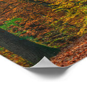 Poster Arbres avec feuillage d'automne dans une forêt (Coin)