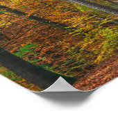 Poster Arbres avec feuillage d'automne dans une forêt (Coin)