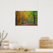 Poster Arbres avec feuillage d'automne dans une forêt (Cuisine)