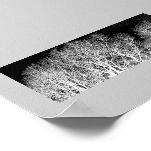 Poster Arbres blancs (Coin)
