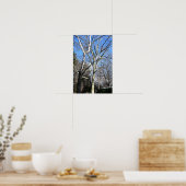 Poster Arbres blancs (Cuisine)